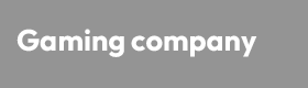 International Business Developer